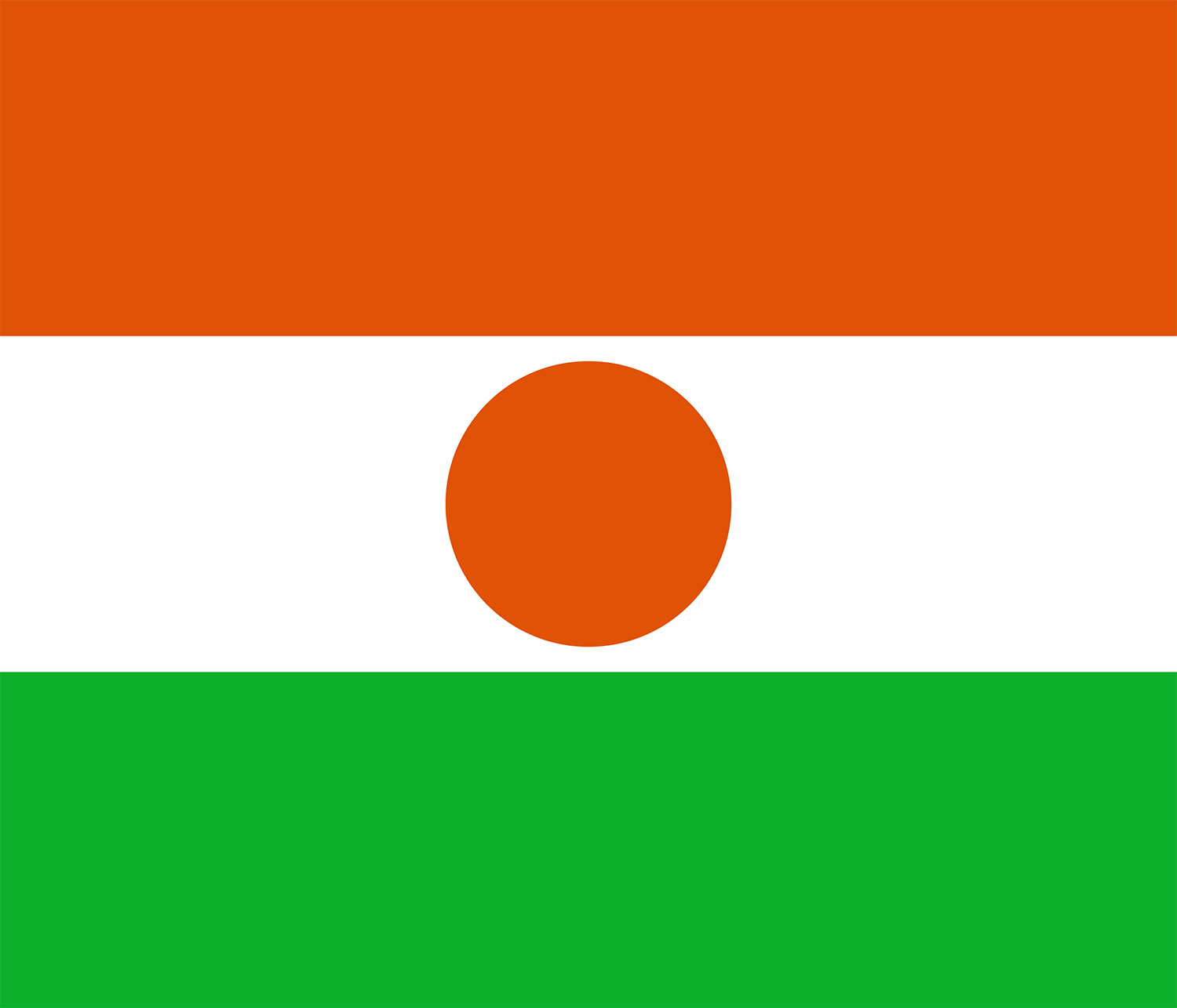 Niger flag