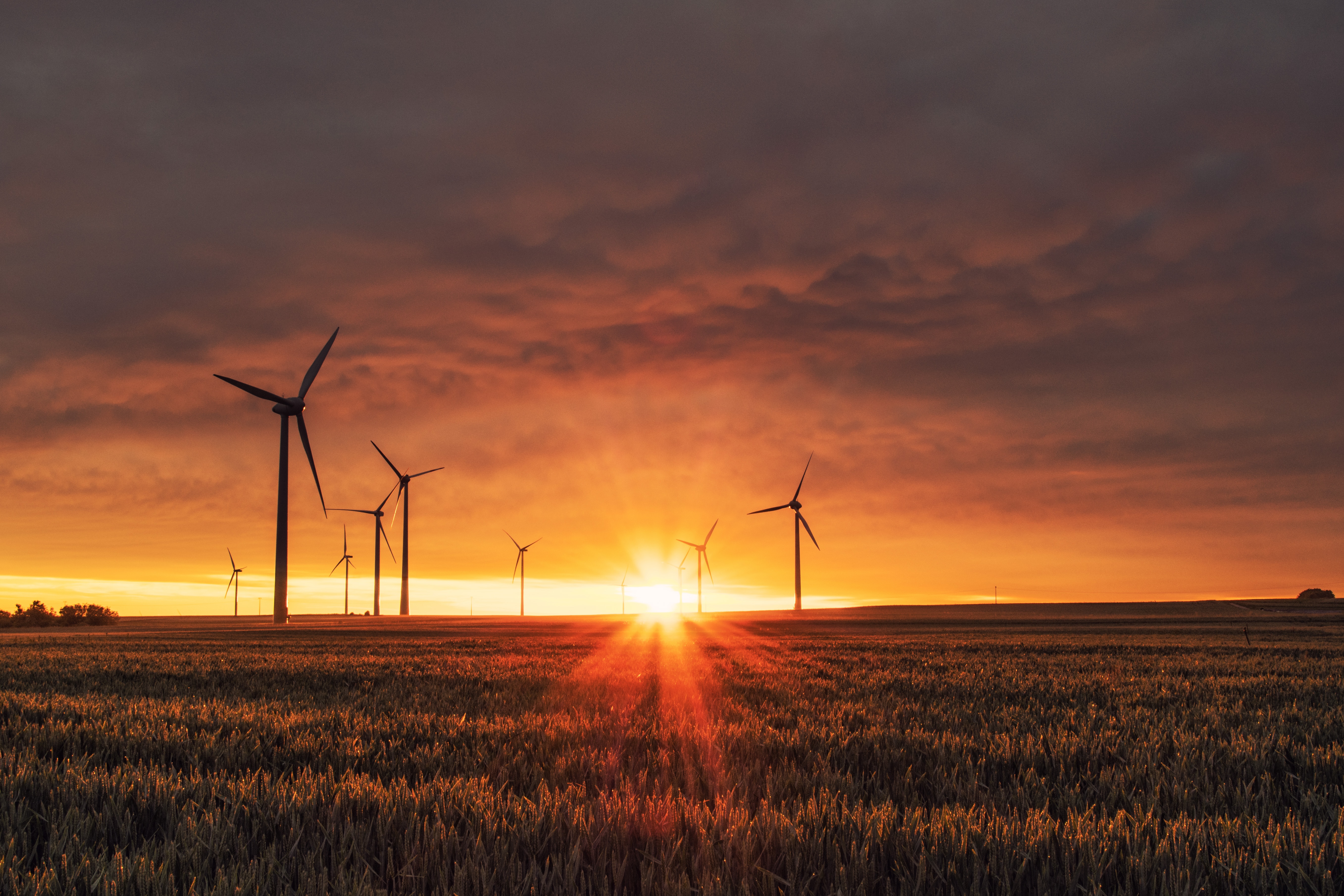 COP29: key outcomes and look ahead for Africa | Mo Ibrahim Foundation