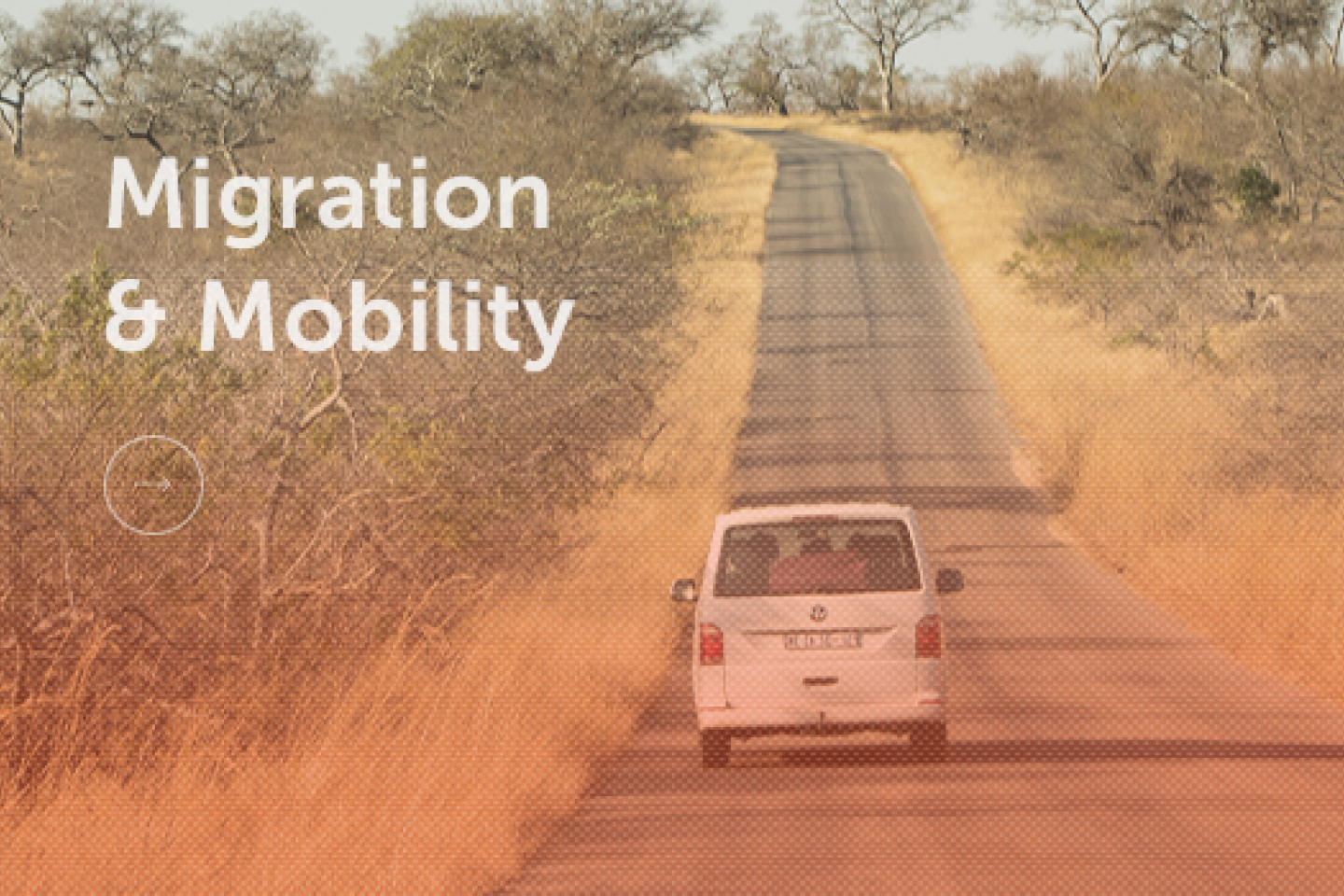 Africa and Europe: African Migrations