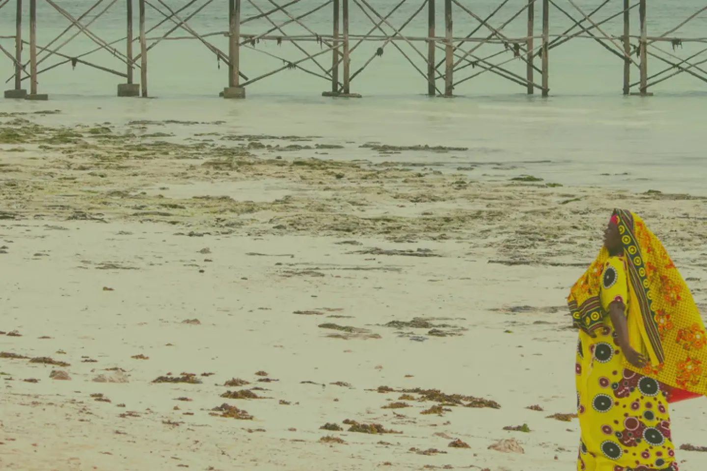 The road to COP27: making Africa’s case in the climate debate