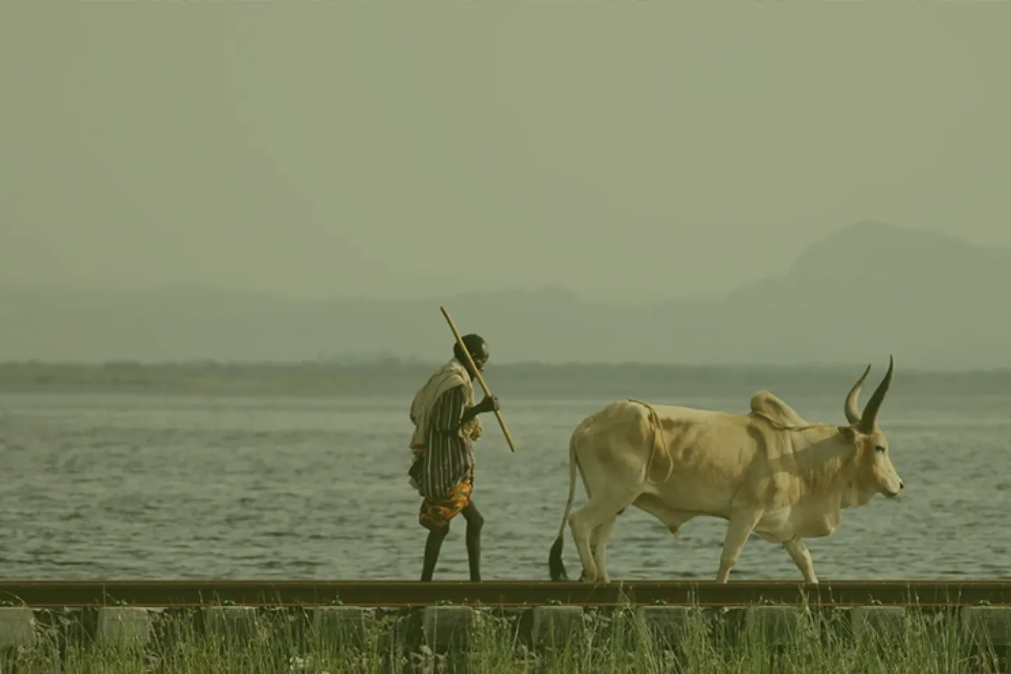 The road to COP27: balancing the need for energy justice and climate justice in Africa