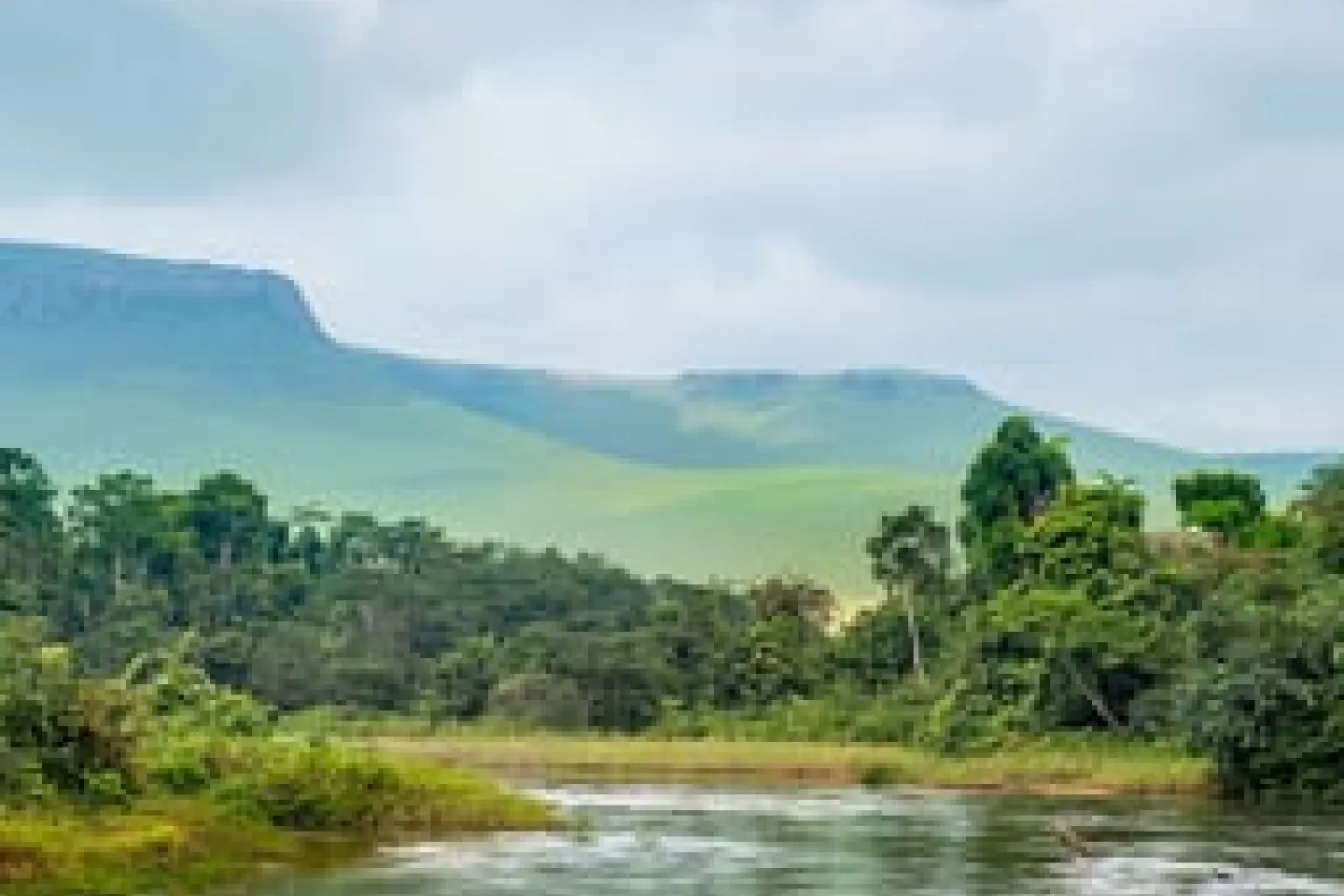 The road to COP27: Leveraging Africa's assets