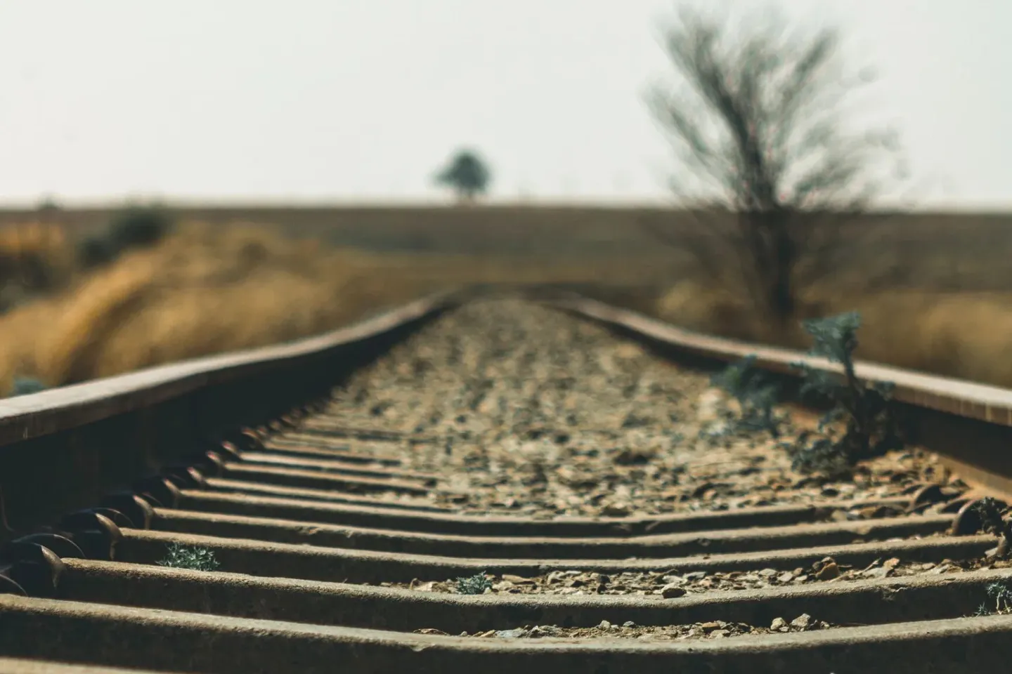 Africa on the road to COP30