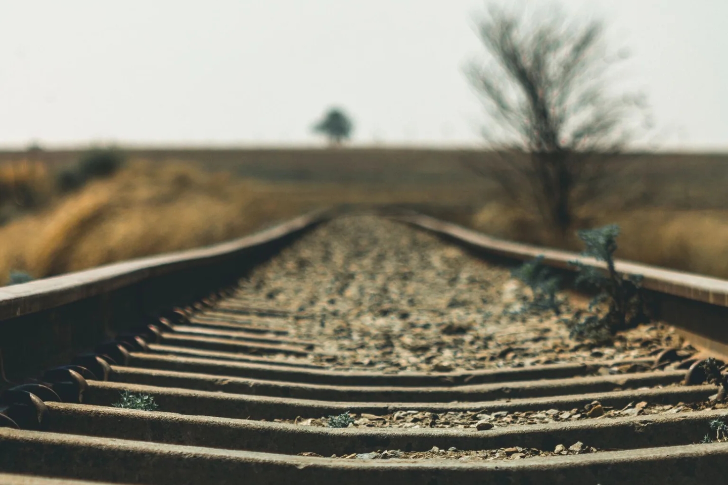 Africa on the road to COP30