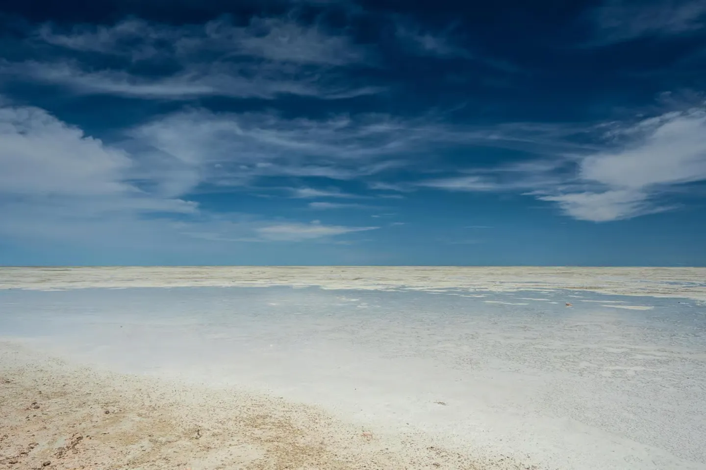 Africa on the road to COP28: a vicious debt-climate cycle