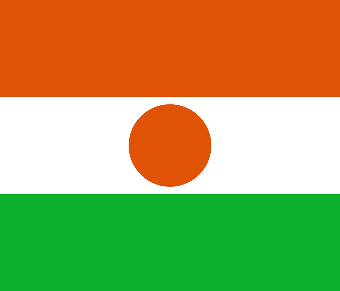 Niger flag